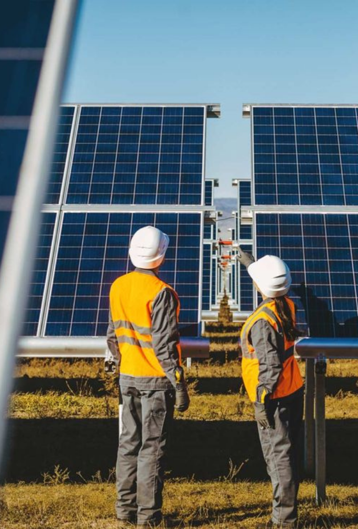 Energy Storage Solutions (Optional)